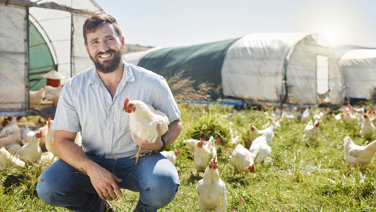 Poultry farm in Northwest Georgia with chickens in clean housing, highlighting the region’s leadership in high-quality chicken farming.