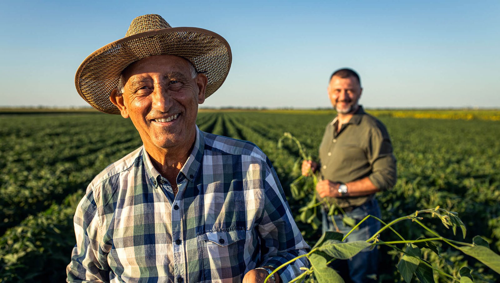 Georgia farmer tending to specialty crops like blueberries or pecans, highlighting support from the new farm bill aimed at protecting local growers.