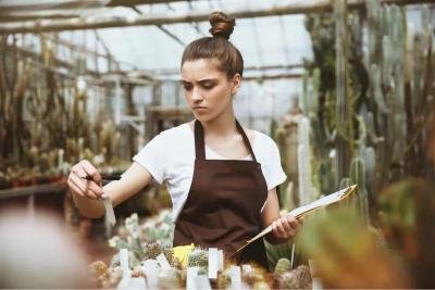 Innovations Driving Small Business Growth in Northeast Georgia