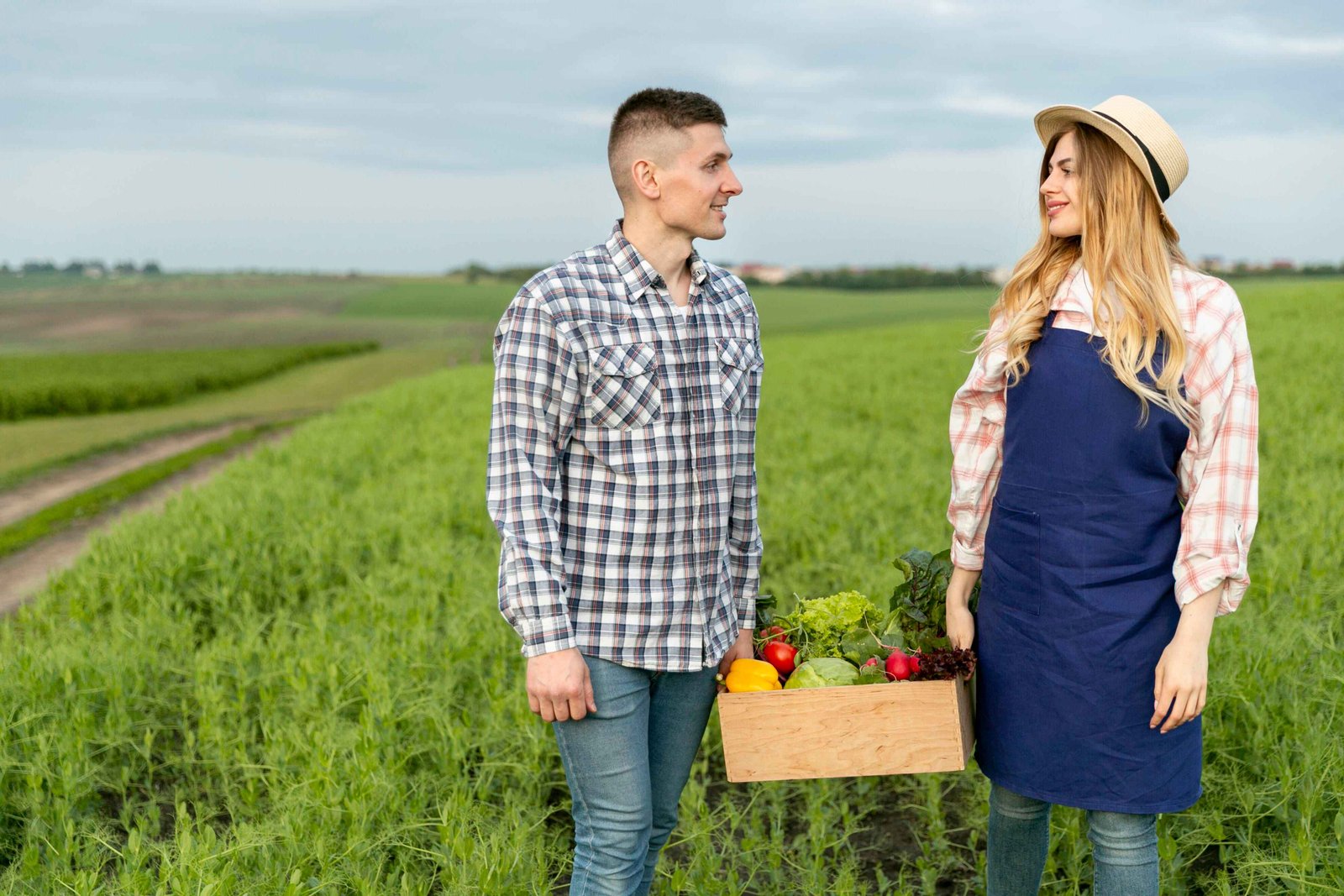 The couple is farming and collecting organic vegetable