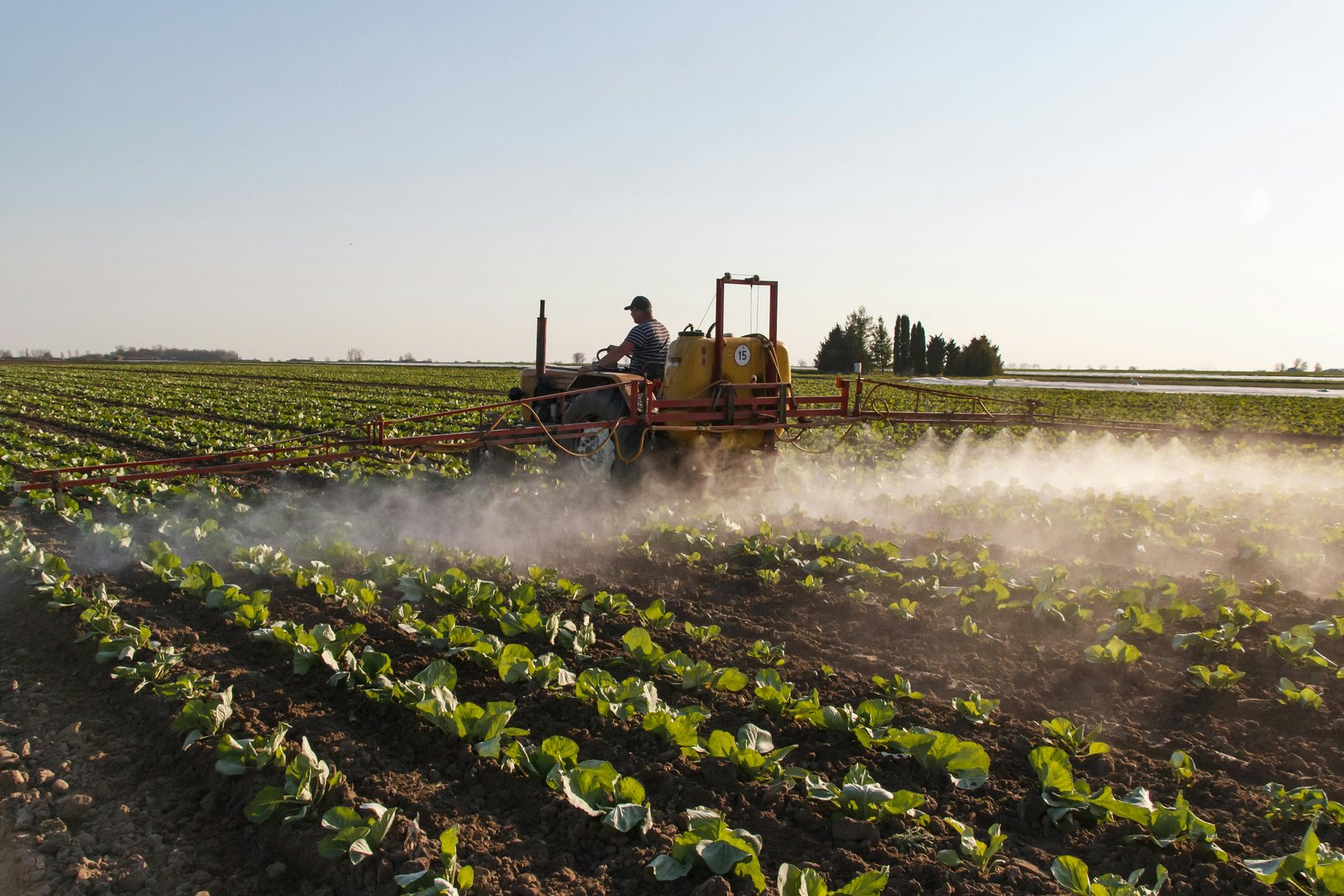 Lush farmland in Northeast Georgia with active harvesting, representing agriculture’s contribution to the region’s economic development.