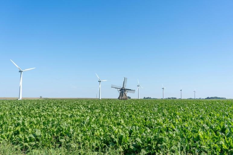 The Future of Sustainable Farming in Northeast Georgia